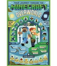 Poster Minecraft - Overworld Biome