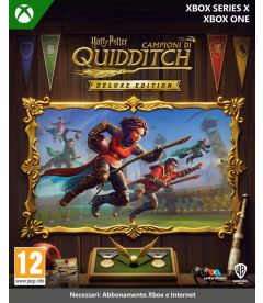 Harry Potter Campioni di Quidditch 